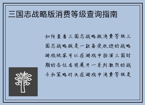 三国志战略版消费等级查询指南